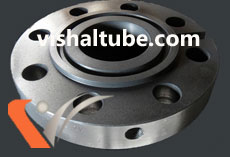 ASTM A694 F52 Ring Type Joint Flanges Supplier In India